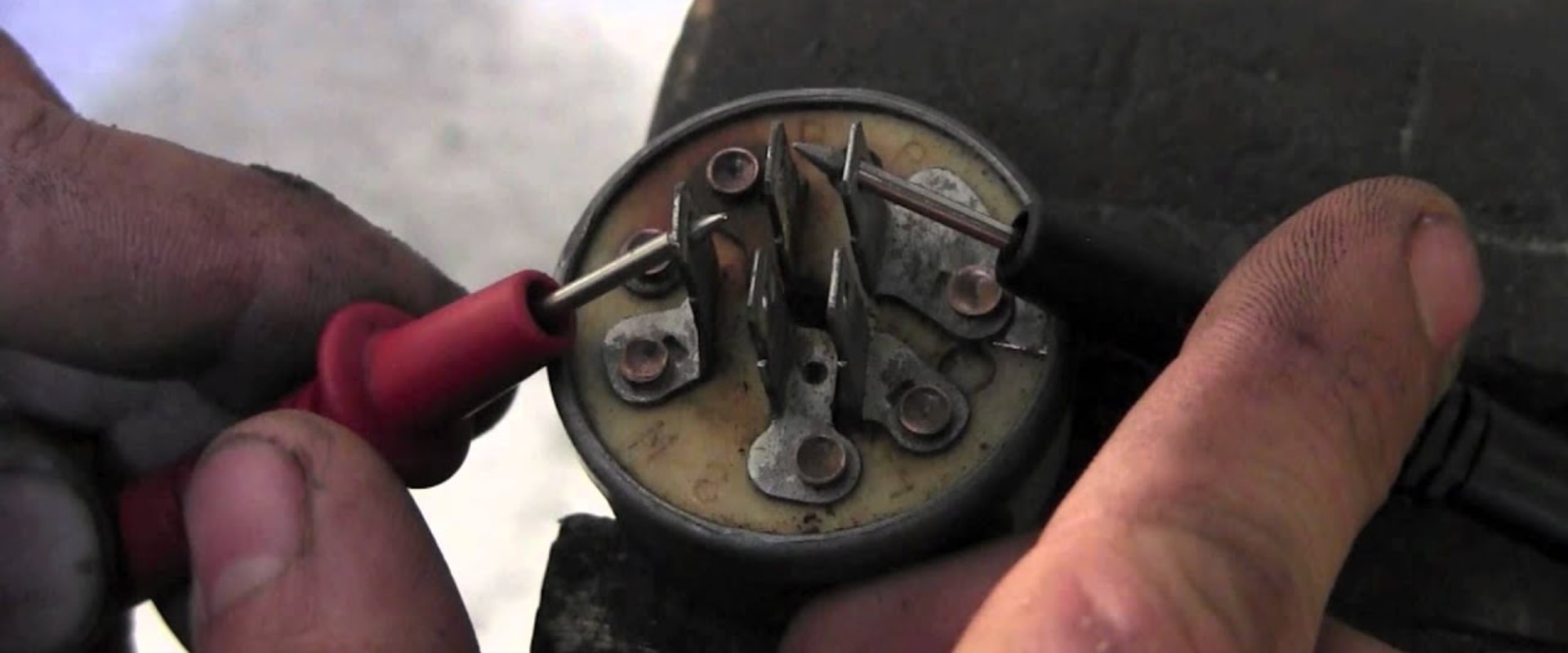 What is the best tool to cut high tree branches?