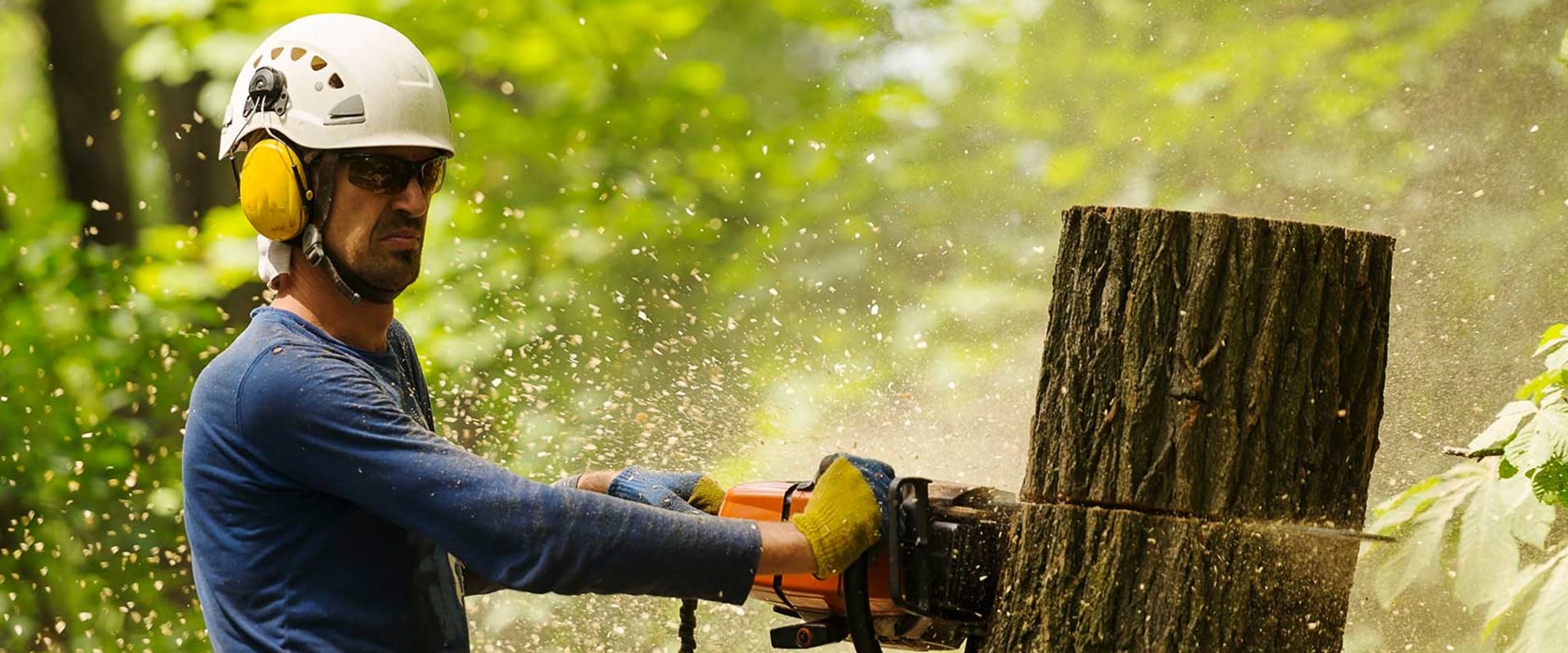What does isa certified stand for?