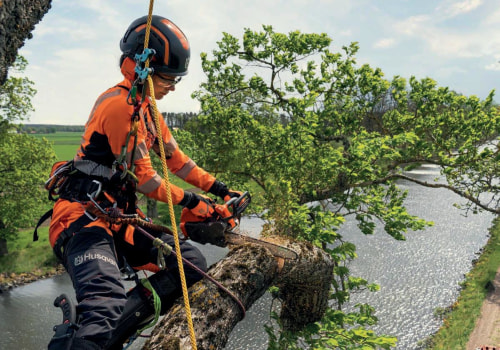 From Demo to Display: Arborist Tools That Steal the Show at Industry Events
